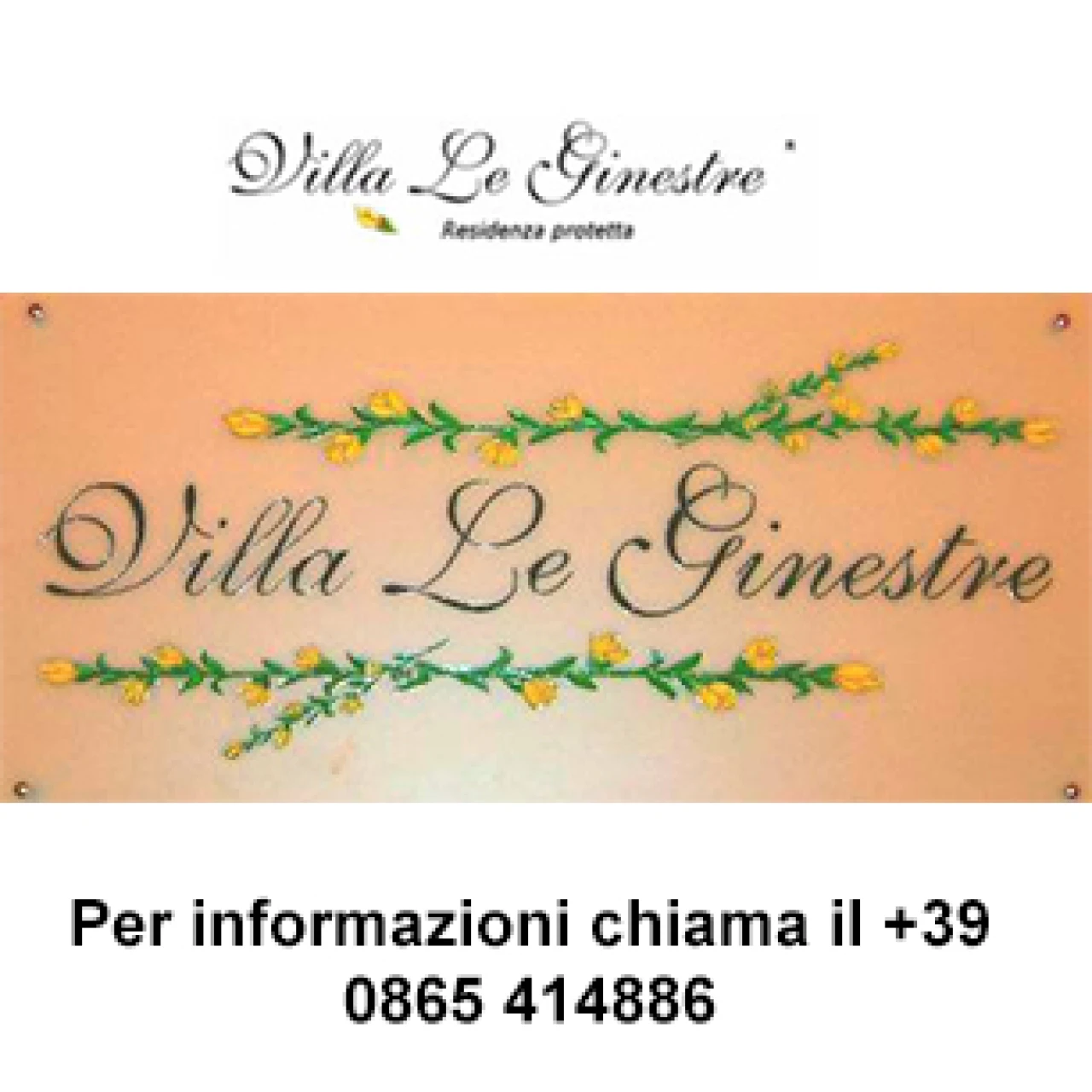 Banner Residenza Protetta Villa Le Ginestre 306 per 306 pixel